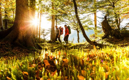 3-wandern-familie